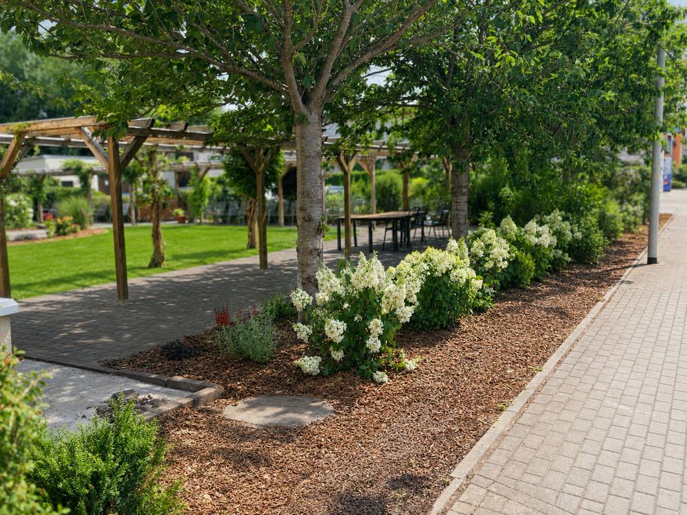 Neue Pflanzen und Blumen entlang des Weges unter der Pergola